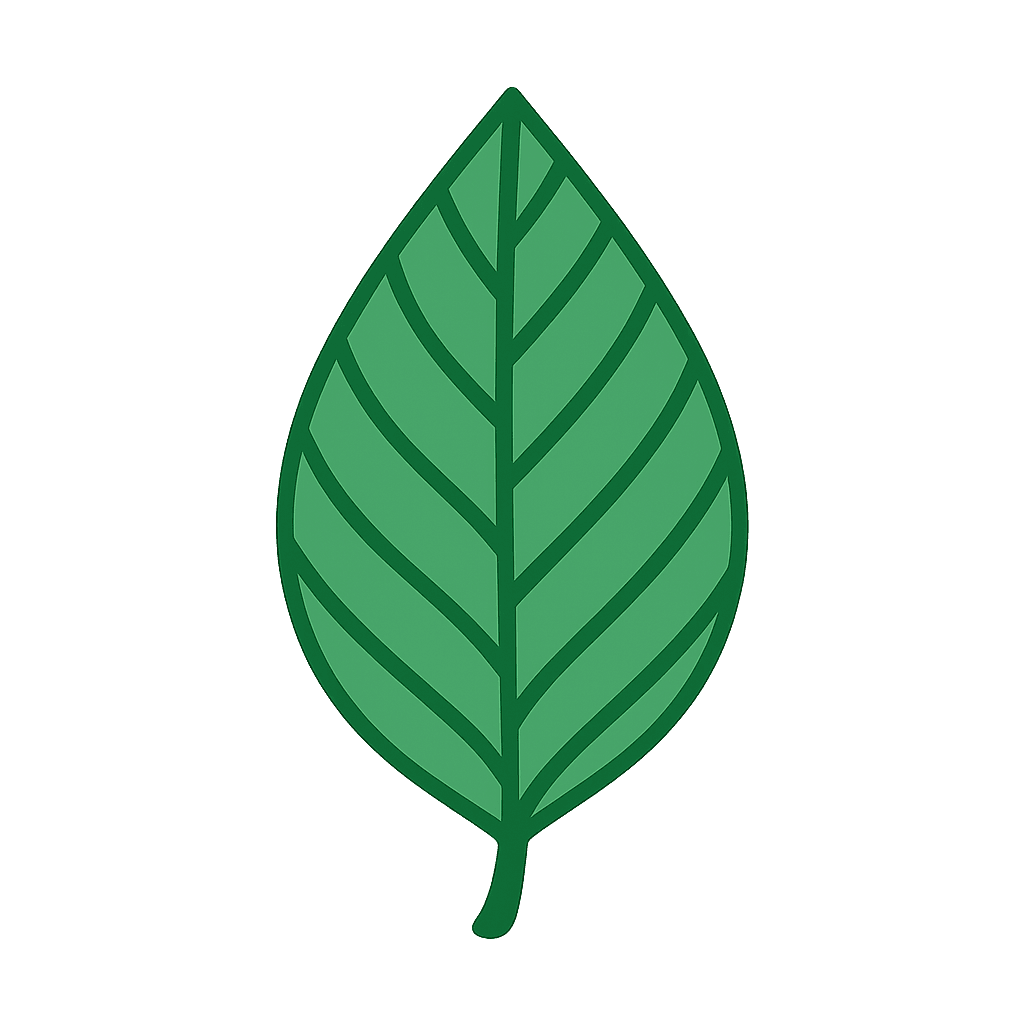 Codee Lab Logo